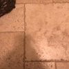 jgraysonttu1997